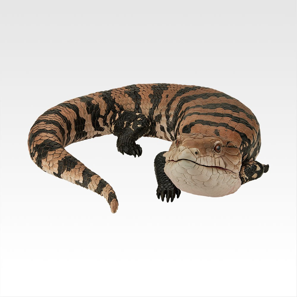 Ichiban Kuji Reptiles & Amphibians ~Tiny Friends~ vol. 2: A Prize Blue-Tongued Skink Figure