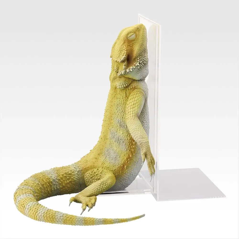 Ichiban Kuji Reptiles & Amphibians: Tiny Friends Vol. 3: A Prize Bearded Dragon Bedtime Book Stand