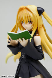 S.H.Figuarts Golden Darkness